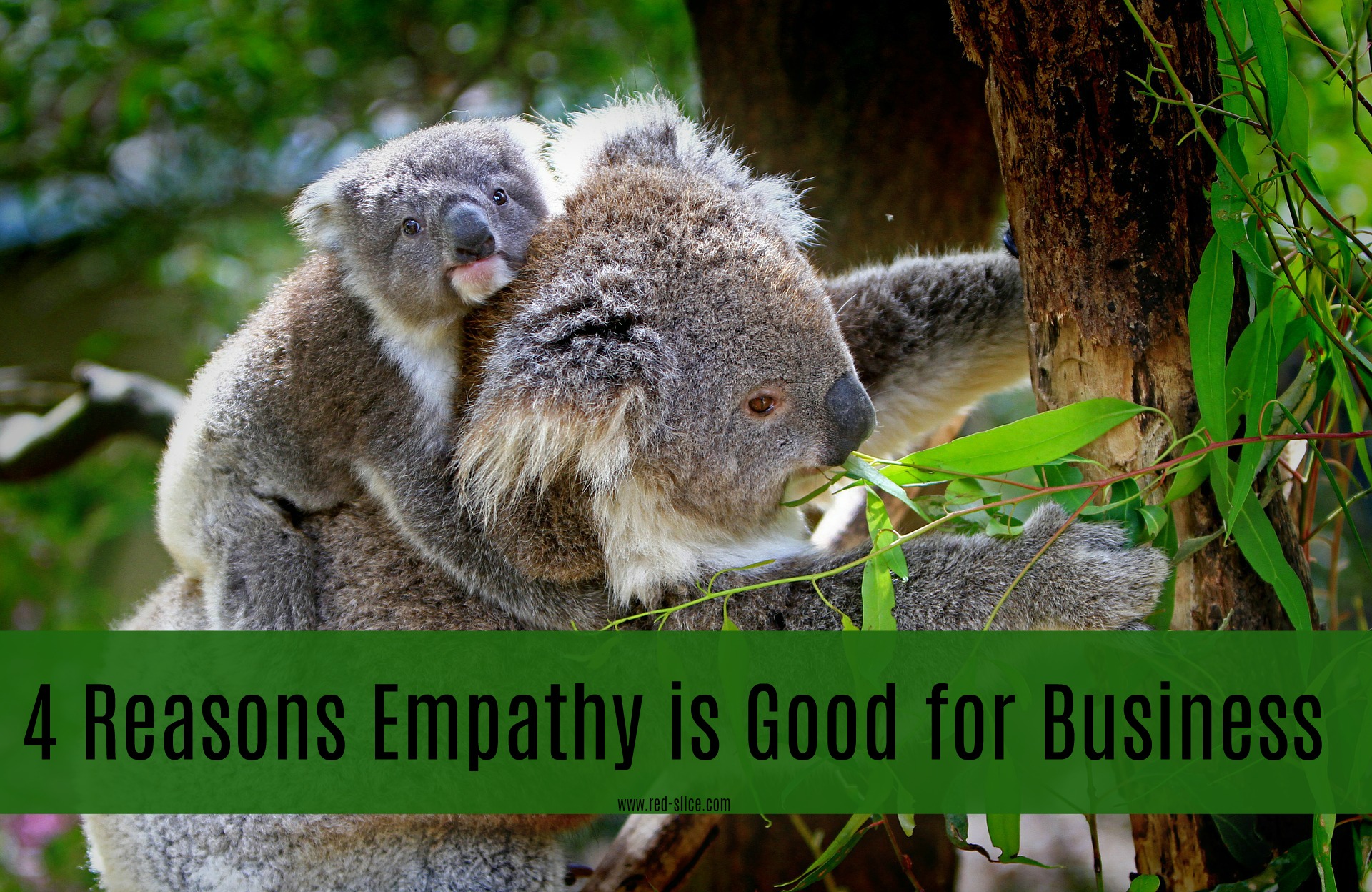 Why Empathy is Good for Business + How to Show It