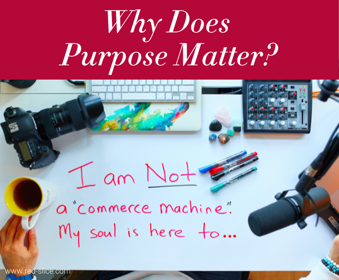 Why Does Purpose Matter